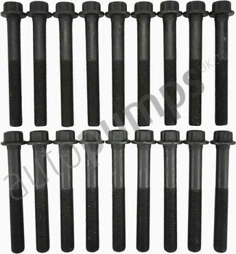 Autopumps UK AHB4196SET - Комплект болтов головки цилиндра abcparts.ee