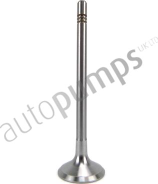Autopumps UK AIV11005 - Впускной клапан abcparts.ee