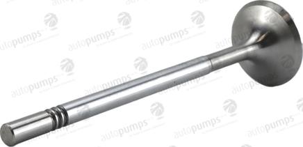 Autopumps UK AIV11088 - Впускной клапан abcparts.ee