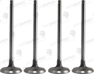 Autopumps UK AIV11102 - Впускной клапан abcparts.ee