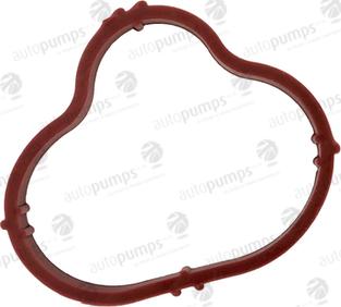 Autopumps UK AMGG073 - Прокладка, впускной коллектор abcparts.ee