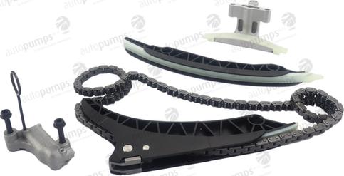 Autopumps UK ATCK349 - Комплект цепи привода распредвала abcparts.ee