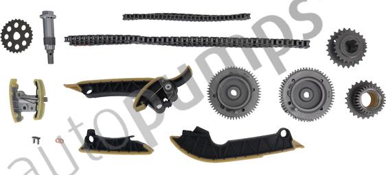 Autopumps UK ATCK301 - Комплект цепи привода распредвала abcparts.ee