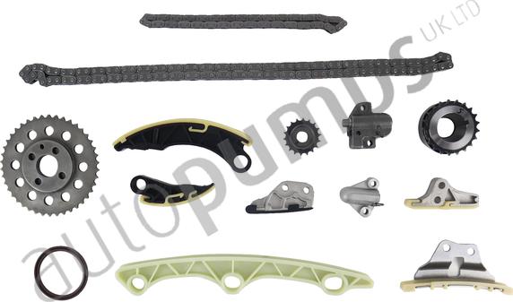Autopumps UK ATCK208 - Комплект цепи привода распредвала abcparts.ee