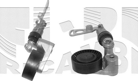 Autoteam A02512 - Натяжитель, поликлиновый ремень abcparts.ee