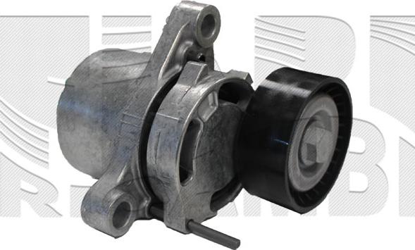 Autoteam AA1218 - Натяжитель, поликлиновый ремень abcparts.ee