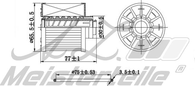 A.Z. Meisterteile AZMT-41-020-1417 - Kütusefilter abcparts.ee