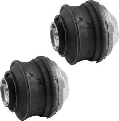 BAPMIC BACB11-205043 - Подушка, опора, подвеска двигателя abcparts.ee