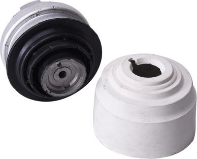 BAPMIC BACB11-205022 - Подушка, опора, подвеска двигателя abcparts.ee