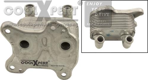 BBR Automotive 001-10-16915 - Масляный радиатор, двигательное масло abcparts.ee
