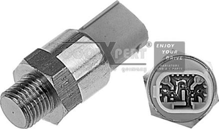 BBR Automotive 003-60-12543 - Термовыключатель, вентилятор радиатора / кондиционера abcparts.ee