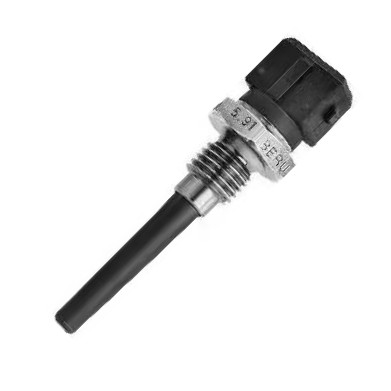 BorgWarner (BERU) ST010 - Датчик, температура впускаемого воздуха abcparts.ee