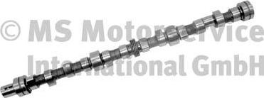 BF 20100335200 - Распредвал abcparts.ee