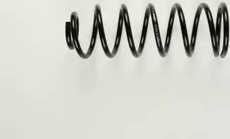 BILSTEIN 36-211371 - Пружина ходовой части abcparts.ee