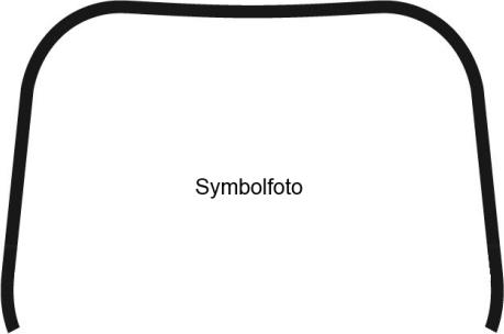 BINDER A61NIS6069 - Ehis / kaitseliist,Esiklaas abcparts.ee