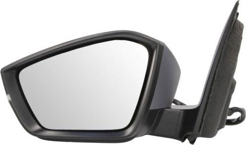 BLIC 5402-43-2195314P - Наружное зеркало abcparts.ee