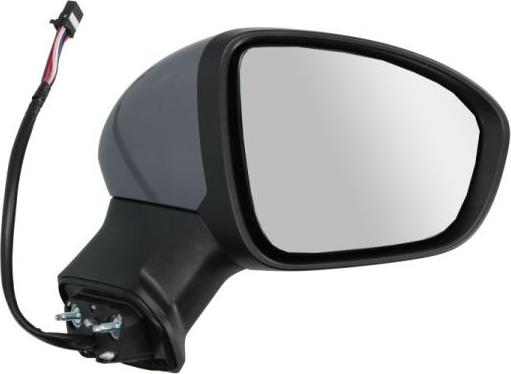 BLIC 5402-09-2345317P - Наружное зеркало abcparts.ee