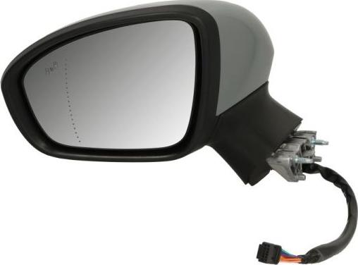 BLIC 5402-09-2313314P - Наружное зеркало abcparts.ee