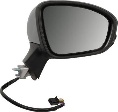 BLIC 5402-09-2313313P - Наружное зеркало abcparts.ee