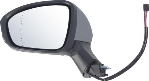 BLIC 5402-09-2313312P - Наружное зеркало abcparts.ee