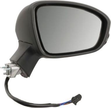 BLIC 5402-09-2313317P - Наружное зеркало abcparts.ee