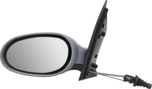 BLIC 5402-04-1111919P - Наружное зеркало abcparts.ee