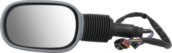 BLIC 5402-04-1139382P - Наружное зеркало abcparts.ee