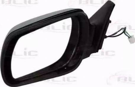 BLIC 5402-04-1121994 - Наружное зеркало abcparts.ee