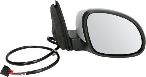 BLIC 5402-01-2002724P - Наружное зеркало abcparts.ee