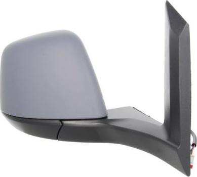 BLIC 5402-03-2001246P - Наружное зеркало abcparts.ee