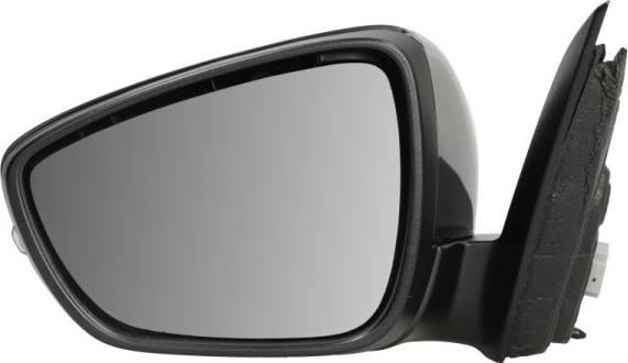 BLIC 5402-03-2152314P - Наружное зеркало abcparts.ee