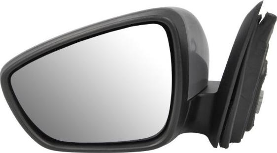 BLIC 5402-03-2152310P - Наружное зеркало abcparts.ee