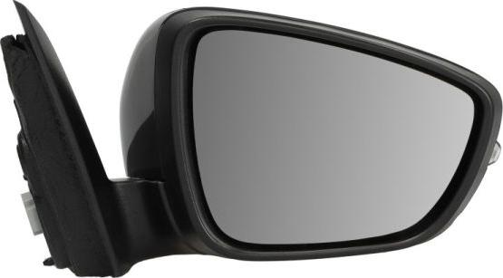 BLIC 5402-03-2152313P - Наружное зеркало abcparts.ee