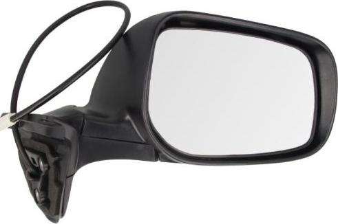 BLIC 5402-19-2002436P - Наружное зеркало abcparts.ee