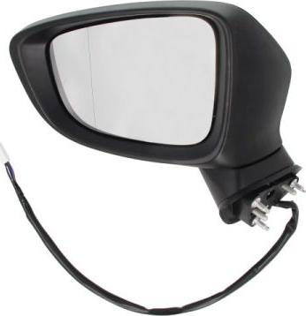 BLIC 5402-14-2001725P - Наружное зеркало abcparts.ee