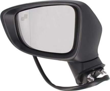 BLIC 5402-14-2001727P - Наружное зеркало abcparts.ee