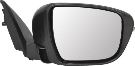 BLIC 5402-16-1020319P - Наружное зеркало abcparts.ee