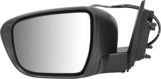 BLIC 5402-16-1020316P - Наружное зеркало abcparts.ee