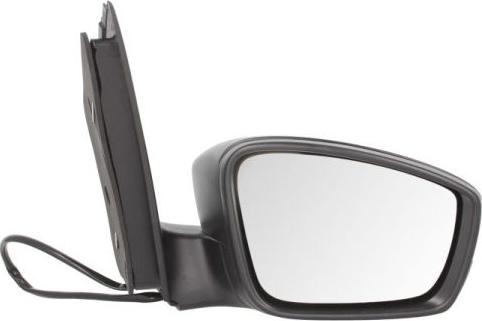 BLIC 5402-10-2002312P - Наружное зеркало abcparts.ee