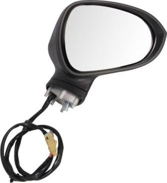 BLIC 5402-10-2002280P - Наружное зеркало abcparts.ee