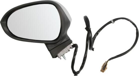 BLIC 5402-10-2002281P - Наружное зеркало abcparts.ee