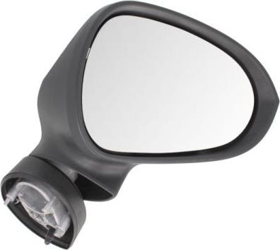 BLIC 5402-10-2002288P - Наружное зеркало abcparts.ee