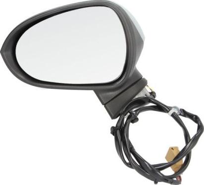 BLIC 5402-10-2002279P - Наружное зеркало abcparts.ee
