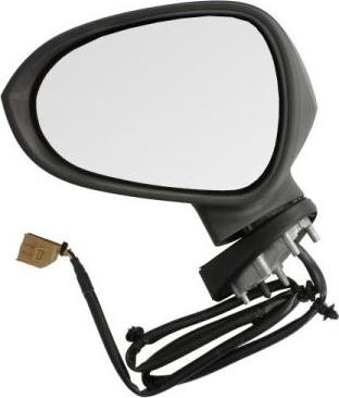 BLIC 5402-10-2002277P - Наружное зеркало abcparts.ee