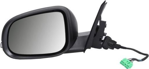 BLIC 5402-24-1514310P - Наружное зеркало abcparts.ee