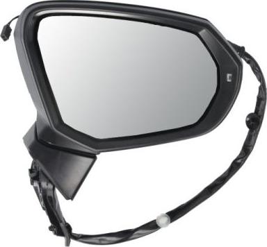 BLIC 5402-25-2178315P - Наружное зеркало abcparts.ee