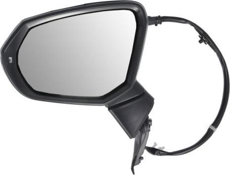 BLIC 5402-25-2178310P - Наружное зеркало abcparts.ee