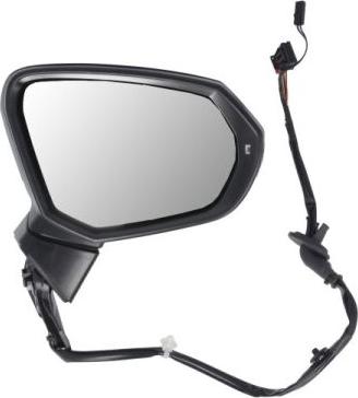 BLIC 5402-25-2178311P - Наружное зеркало abcparts.ee