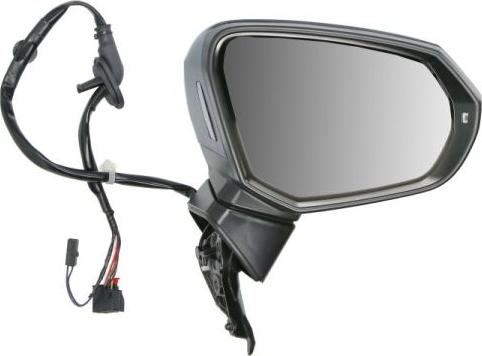 BLIC 5402-25-2178313P - Наружное зеркало abcparts.ee