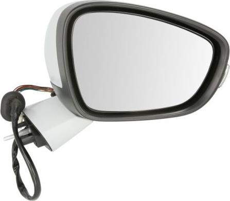 BLIC 5402-21-044372P - Наружное зеркало abcparts.ee